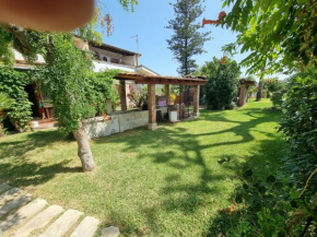 B&B Asparano